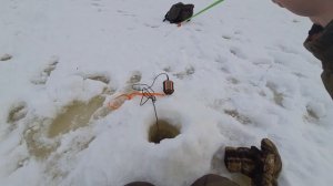 Этот балансир спас рыбалку!Ловля окуня на балансир!