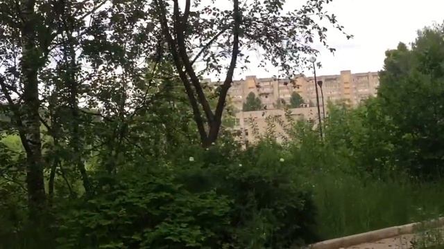 Показала где училась, где жила ?