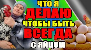 Что я ДЕЛАЮ, чтобы быть ВСЕГДА с яйцом.