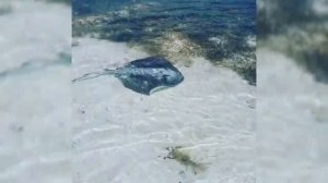 Мексика. Канкун 2019