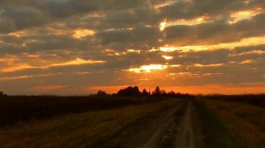 Журавли. Лёха Цыган.