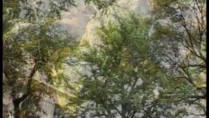 Прогулки по Екатеринодару "Ботанический сад"