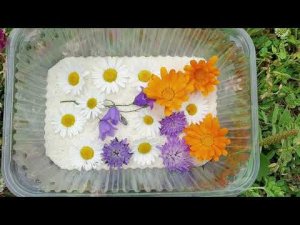 КАК КРАСИВО ЗАСУШИТЬ ЦВЕТЫ/ЗАГОТАВЛИВАЮ ТРАВЫ И ЛЕПЕСТКИ ДЛЯ ЧАЯ/КАК ЗАСУШИТЬ ЦВЕТЫ В МАНКЕ