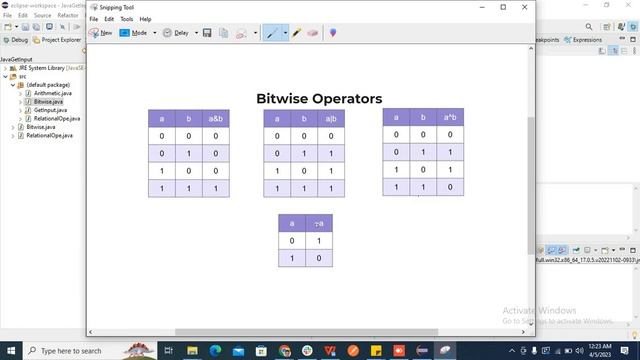 Day 8 Java Bitwise Operators Program with example смотреть онлайн