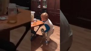 Кошка нападает на ребенка 😂😅😅