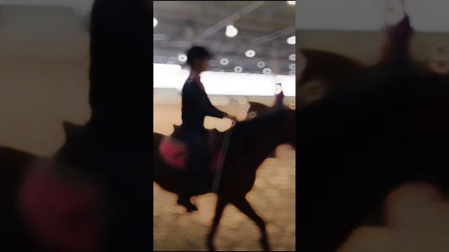 я влюбилась в это видео #верховаяезда #конныйспорт #тренировка