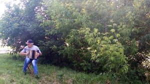 песня батальонная разведка игра на гармони