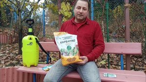 Осенняя обработка садовых деревьев и кустарников