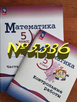 математика 5 класс номер 5.336