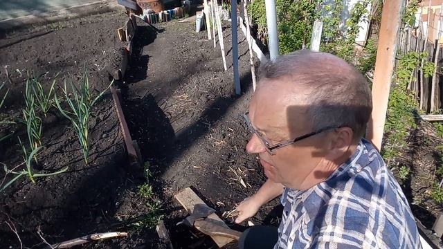 Установка опоры для гороха на приусадебном участке смотреть онлайн