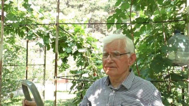 ОБЗОР СВЕРХРАННИХ СОРТОВ ВИНОГРАДА, СОЗРЕВШИХ В ИЮЛЕ 2019 (СПИСОК В ОПИСАНИИ ВИДЕО) смотреть онлайн