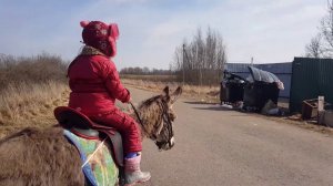 ДЕРЕВЕНСКИЙ БЫТ ЕДА КОРОВА КОЗЫ КАМОРИ ОСЛИКИ