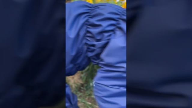 «Я не понимаю что происходит…Присутствие нового запаха смущает меня …” Как думаете что будет дальше смотреть онлайн