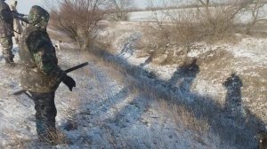 Охота на лису с фоксом и джекрасселом