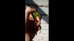 Как распаковать Чупа-чупс! 3 РАБОЧИХ СПОСОБА