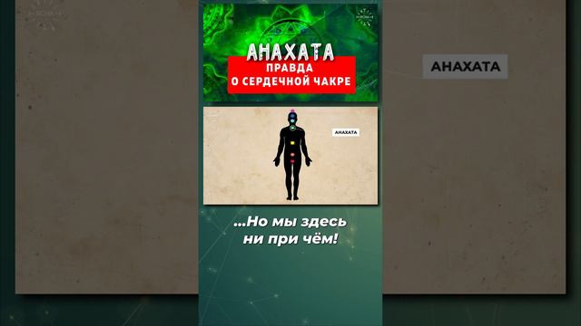 Где на самом деле находится СЕРДЕЧНАЯ чакра !? #системачакр #чакры #значениечакр #анахата