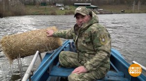 Утятам - зерно, кабанятам - морковка! Доброе утро. Фрагмент выпуска от 15.11.2023