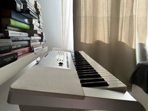 Синтезатор Casio LK 280