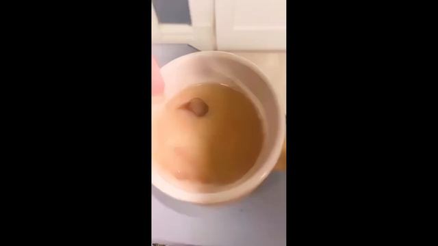 1й в Мире КОФЕ для СОБАК ☕🐩 - BARKISTA - не путать с BARISTA (от «to Bark» = «лаять») Без кофеина ) смотреть онлайн