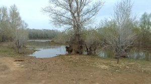 Прогулка по набережной реки Урала. Оренбург 21.04.22. Видео Виктор Поживин