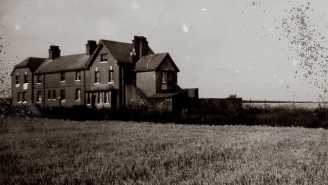 randy newman 'feels like home' cover (kalimba & violin) смотреть онлайн