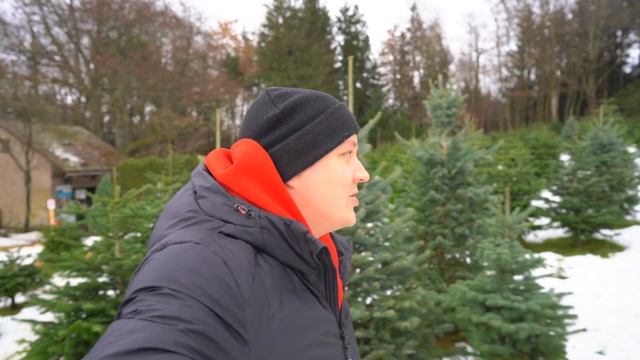 Рождественская ёлка. Поехали в лес выбирать ёлку. ВЛОГ GOA family смотреть онлайн