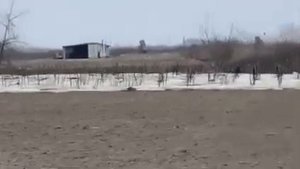 Водяное, Запорожская область. Стоят русские "Грады".