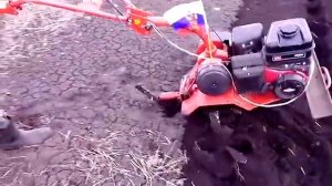 Обработка почвы фрезами. Мотоблок Салют.