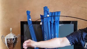 Краткий обзор серии удилищ  FOREMAN от CHAMPION RODS