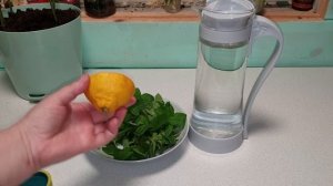 Свежая мята круглый год/полезный напиток с мятой и лимоном/огород на подоконнике
