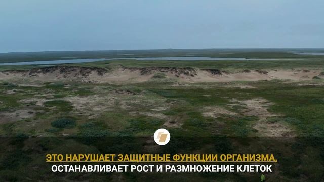 Чем опасен микропластик