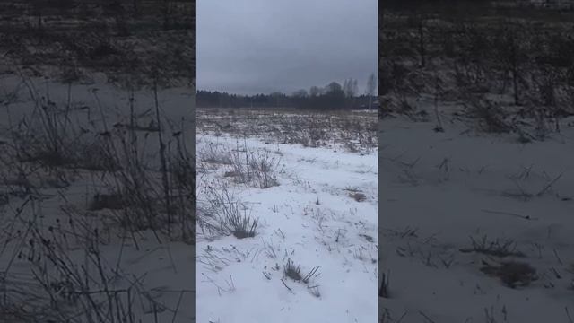 д. Поздняково 50:18:0040230:1372
