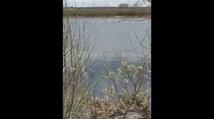 Лапшиновские озёра и озеро Октябрьское