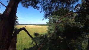 Приехали на остров. Подмосковный заповедник Лохин остров