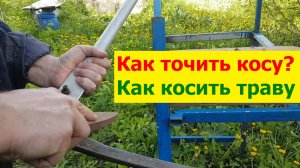 230506 Как точить косу Косить траву заточка косы покос травы саженцы вишни одуванчики участок сорняк