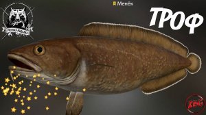 МЕНЕК - ТРОФЕЙНЫЙ - НОРВЕЖСКОЕ МОРЕ  РУССКАЯ РЫБАЛКА 4 | RUSSIAN FISHING 4@Z-B-G 