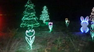 Рождественские огни в Griffith Park! Детский аттракцион - катаемся на праздничном паровозе!