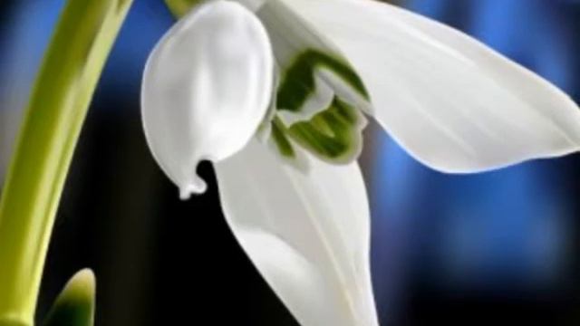 ЛІДІЯ ЯЦКОВА "Ой що я наробила?" смотреть онлайн