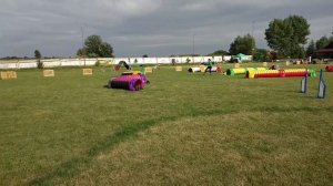 Beagle&Agility Competition ~ Туннельная трасса ~ Krasilovka 11.08