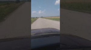 срочно. пропала дорога в рязанской области от Скопина до Кимовска,