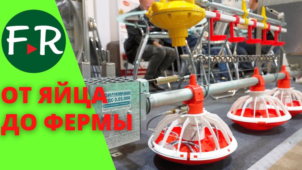 Оборудование для бизнеса в птицеводстве. Инкубационное яйцо, инкубаторы, системы поения и кормления