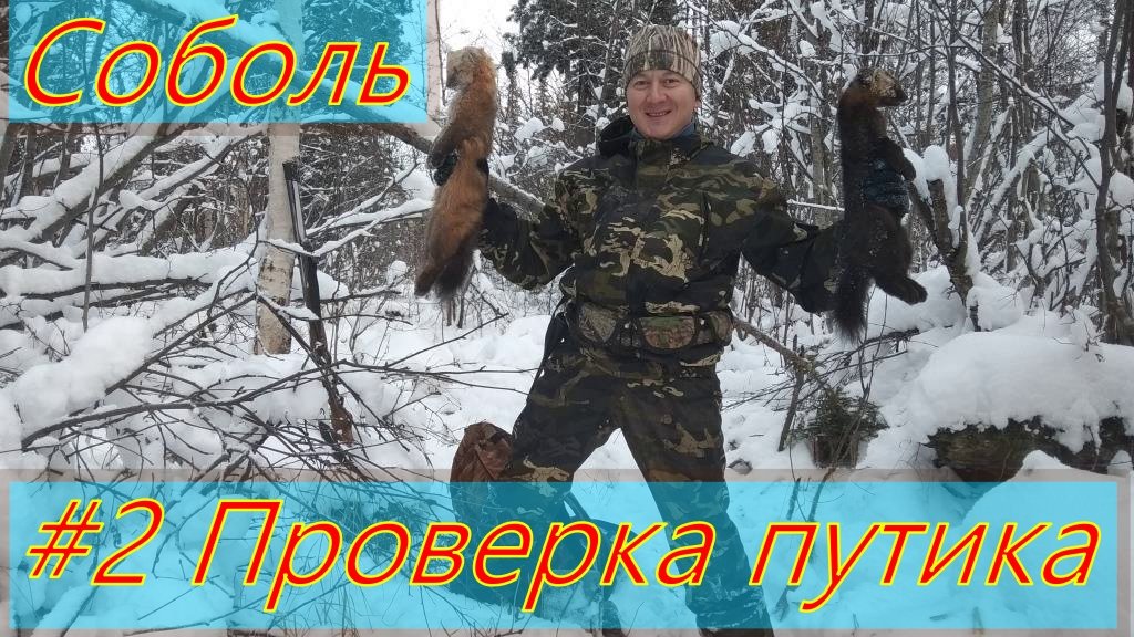 ОХОТА НА СОБОЛЯ. Серия № 2. Проверка путика смотреть онлайн