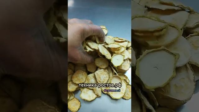 Сушим овощи, фрукты, цитрусовые, грибы в промышленной сушильной камере дегидраторе К40-25