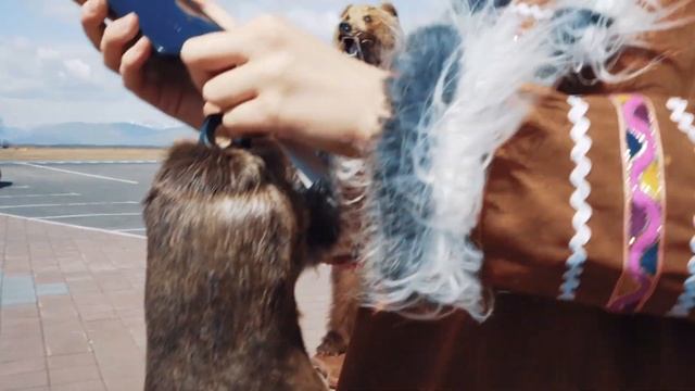 Переехать на Камчатку?! Для чего?! 1 серия Медведи Вулканы Океан Шок! смотреть онлайн