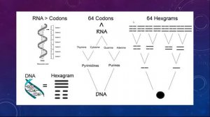 Discussions with Dr. Jeffrey Thompson - I Ching & Our DNA