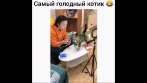 ?Смешная озвучка животных?#6