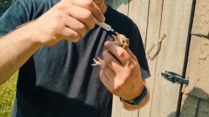 Что случилось с овчаркой Диком? Печки лавочки на черничном хуторе ВЛОГ.