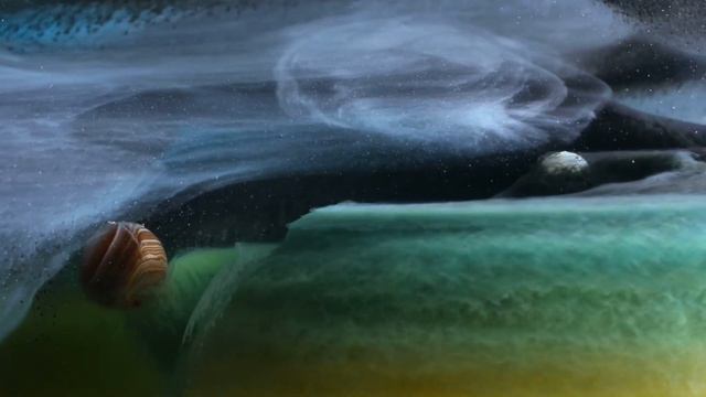Мы живем в иллюзии? Времени не существует? —  Reflection
