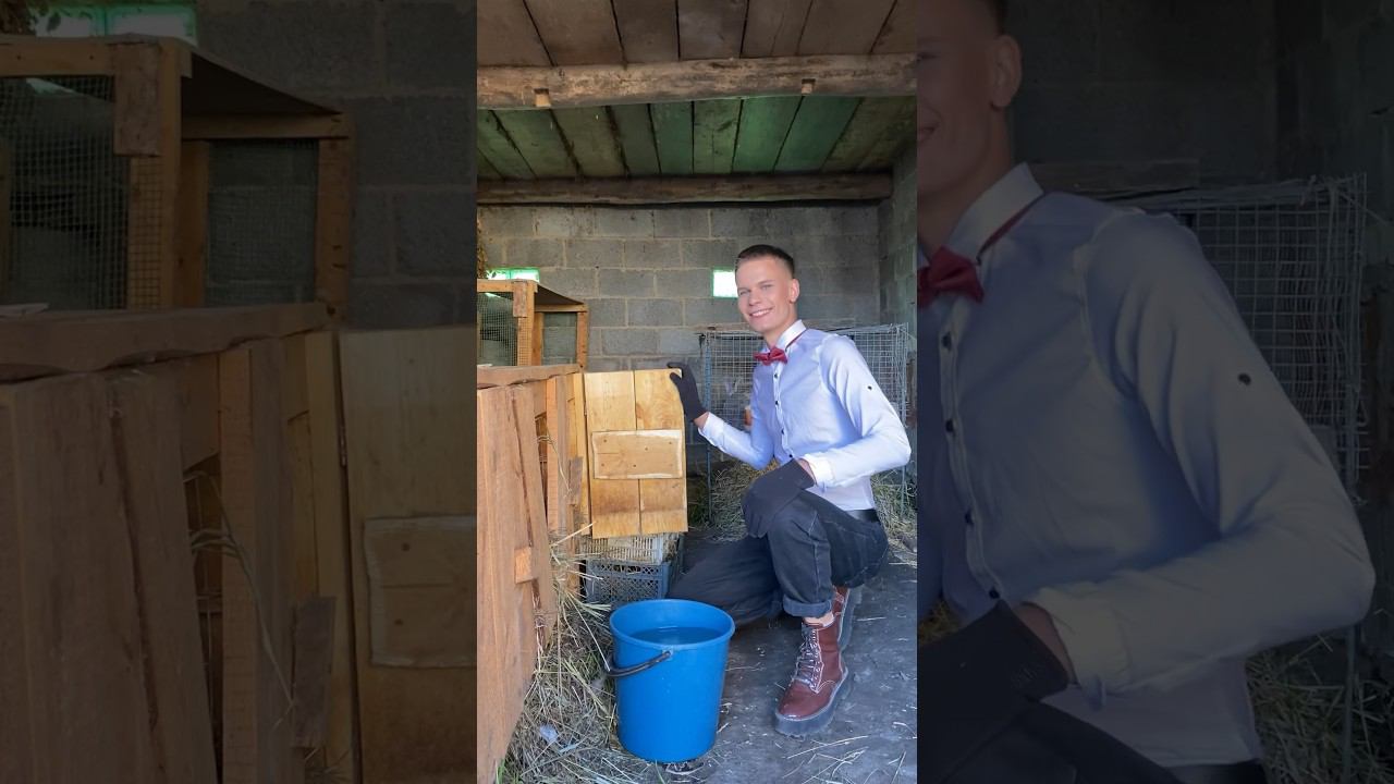 Так нормально, господа и дамы ? смотреть онлайн