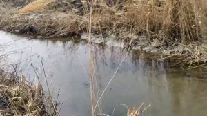 Народный праздник «День Водяного». 16 апреля. Что нельзя делать и что можно.